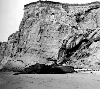 Photo of cliff-side oil seep; see caption.
