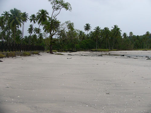 Photo of beach after tsunami.