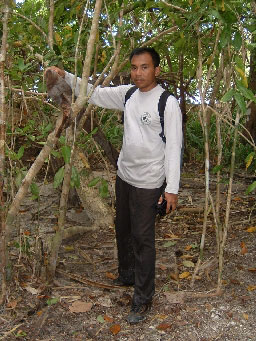 Photo of Lukiyanto in Banyak Islands measuring height of tsunami debris.