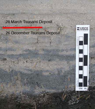 Photo of cross-section of trench cut into tsunami sand deposit