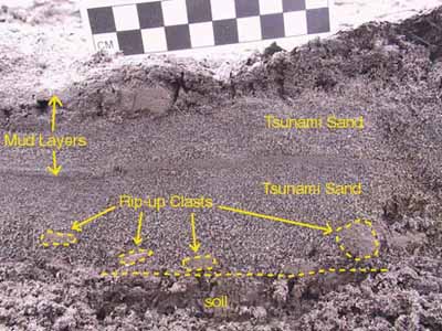Tsunami deposit over soil at La Quinta showing rip-up clasts, two mud-capped layers, and normal grading.
