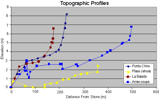 Topographic profiles for four sites surveyed.