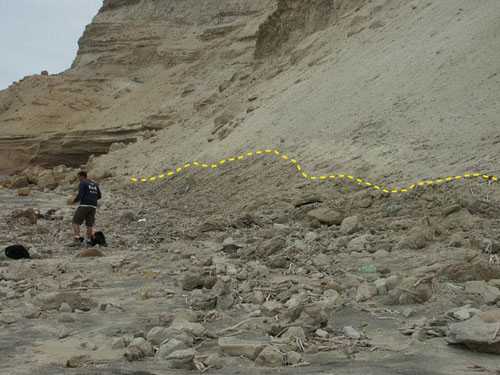 Debris line and color change on slope above beach mark maximum inundation at Playa la Chira.