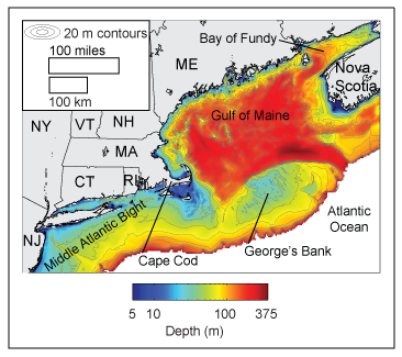 Bathymetry map of the Gulf of Maine