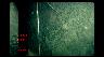 Image of time-series photograph of the sea floor.