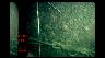 Image of time-series photograph of the sea floor.