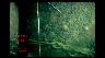 Image of time-series photograph of the sea floor.
