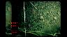 Image of time-series photograph of the sea floor.