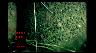 Image of time-series photograph of the sea floor.