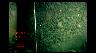 Image of time-series photograph of the sea floor.