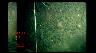 Image of time-series photograph of the sea floor.