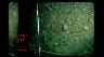 Image of time-series photograph of the sea floor.