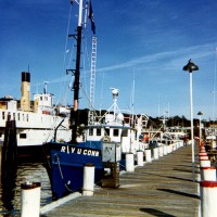 RV UCONN at the dock in Port Jefferson, Long Island, NY during cruise UCONN 84-1