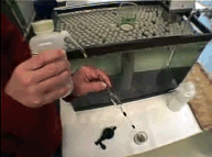 Image shows the pipette being rinsed.