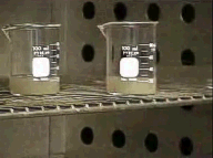Image shows samples placed in oven for drying.