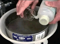 Image showing sample being washed into sieve with a squeeze bottle.