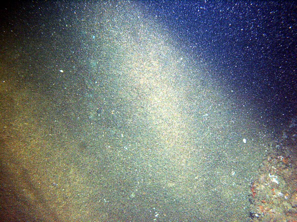 Boulders, sand, large ripples, scattered shell debris, starfish, lobsters.