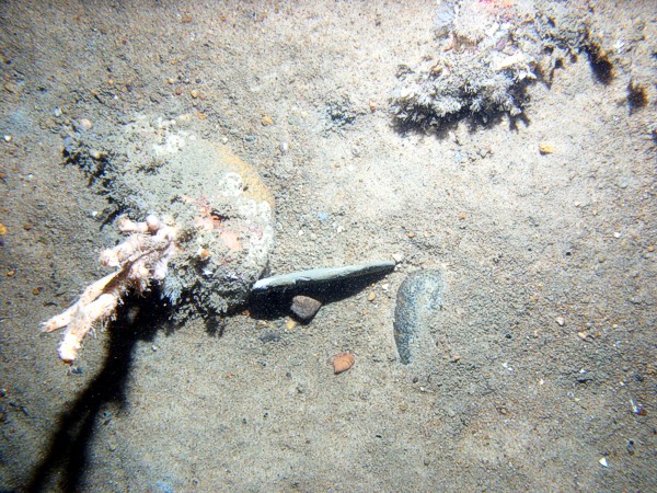 Boulders, cobbles, gravel, sand, rippled, scattered shell debris, starfish, sponges.