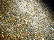 Gravel with sand and scattered rocks, ripples (5-10 cm high), scattered shells and shell debris.