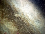 Sand, ripples, heavy organic mat and some shell debris in troughs, sand dollars on crests.