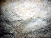 Sand, undulating low ripples, trace of shell debris, sand dollars and their tracks, flounder, sea robin, moon snail.