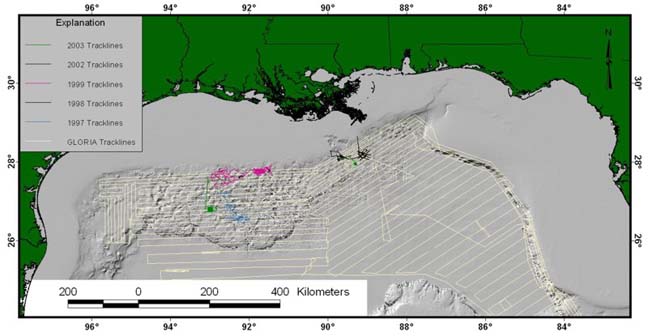An image showing tracklines where seismic-reflection profiles were collected.