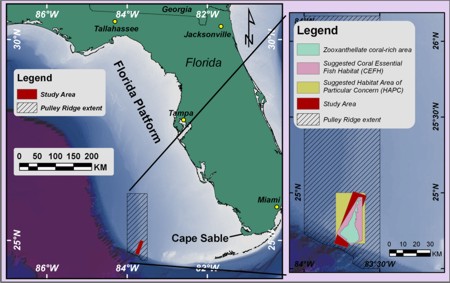 Figure 1 - location map