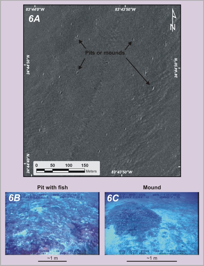 Figure 6 - details of pits and mounds