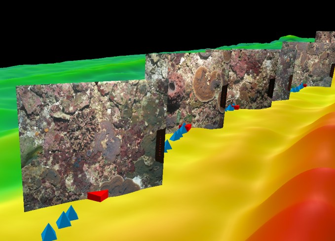 Figure 9 - northern area vertical images