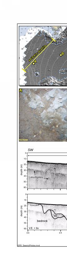 Fig. 4.7. Maps of seafloor topography and backscatter intensity  in Nahant Bay and approaches.