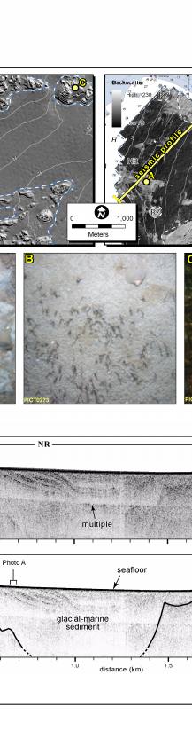 Fig. 4.7. Maps of seafloor topography and backscatter intensity  in Nahant Bay and approaches.