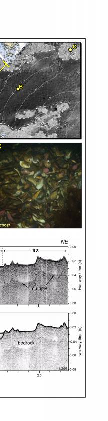 Fig. 4.7. Maps of seafloor topography and backscatter intensity  in Nahant Bay and approaches.