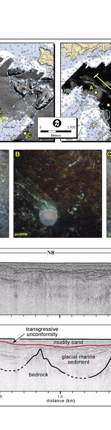 Fig. 4.5. Maps of seafloor topography and backscatter intensity  in Salem Sound.