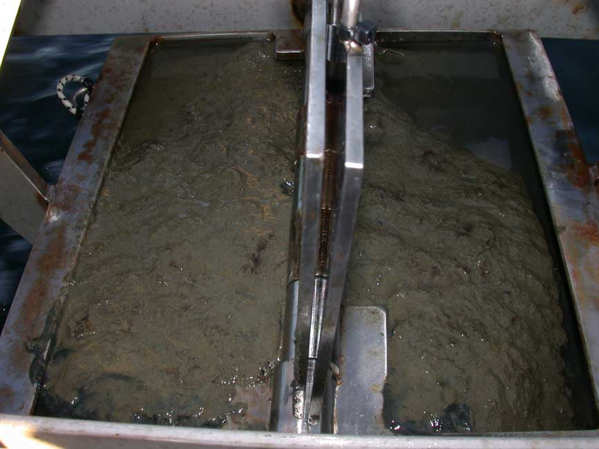 Image of sediment.