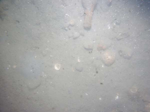 Image of sea bottom photo.