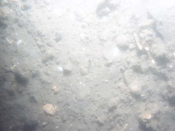 Image of sea bottom photo.