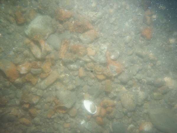 Image of sea bottom photo.