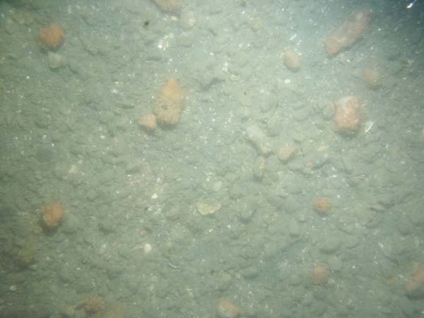 Image of sea bottom photo.