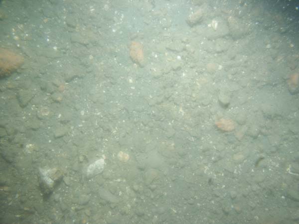 Image of sea bottom photo.