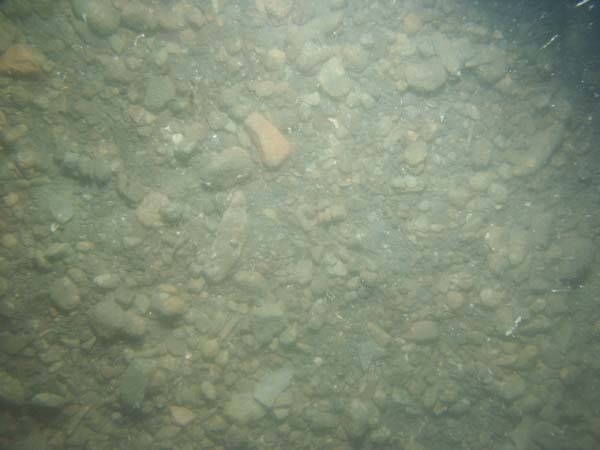 Image of sea bottom photo.