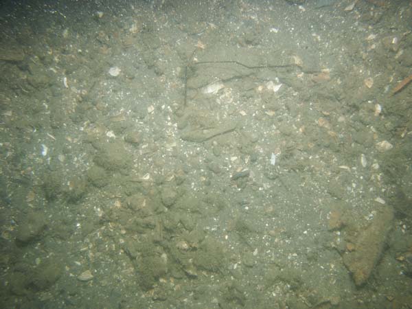 Image of sea bottom photo.