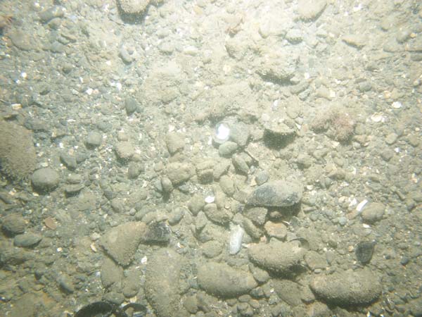 Image of sea bottom photo.