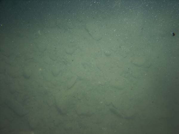 Image of sea bottom photo.