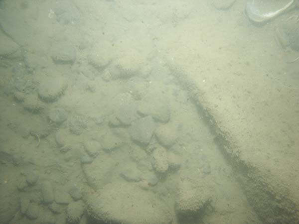 Image of sea bottom photo.