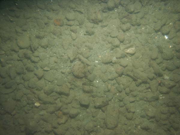 Image of sea bottom photo.