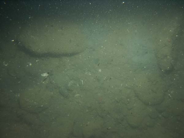 Image of sea bottom photo.