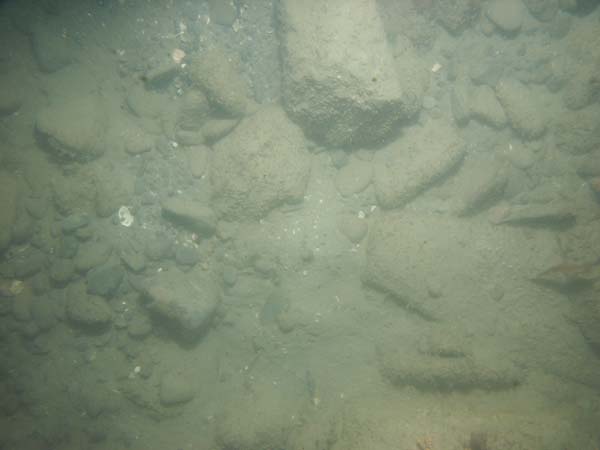 Image of sea bottom photo.