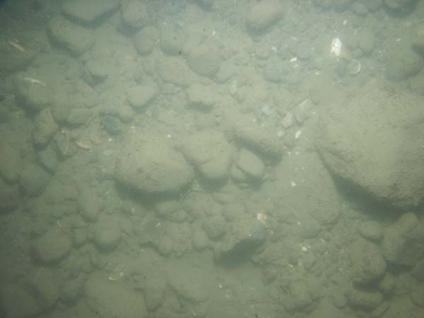 Image of sea bottom photo.