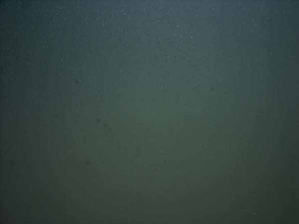 Image of sea bottom photo.