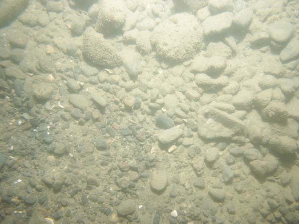 Image of sea bottom photo.